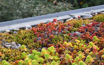 the cost of Broyle Side green roof installation