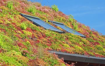Broyle Side living roof systems