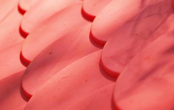 Broyle Side plastic roof costs