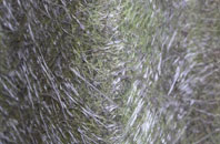 Broyle Side fibreglass roof work